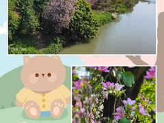 -广东花都湖国家湿地公园