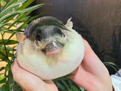 -永安鱼庄·镇江菜(东吴路店)