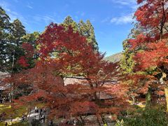 -三千院