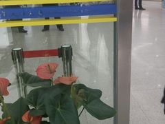 -上海人才大厦