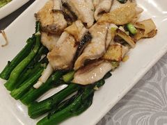-粤·向群饭店(龙津东路总店)