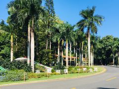-深圳仙湖植物园-停车场