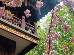 -罔极寺