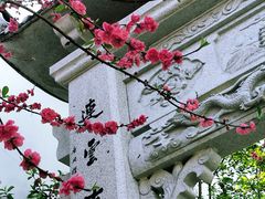 -乌山风景区