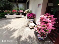 -汇龙潭