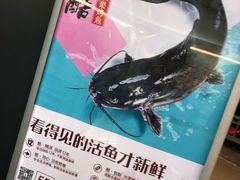 -鱼酷活鱼烤鱼(沈阳大悦城店)