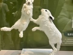 -国家自然博物馆