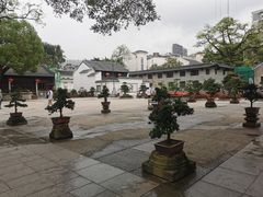 -明兴正宗潮州五彩鱼蛋粉面(中山六路店)