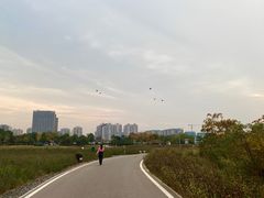 -洋湖国家湿地公园