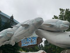 -珠海长隆海洋王国