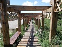 -白草畔自然风景区