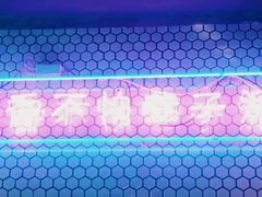 -济州爱肉堂(总店)