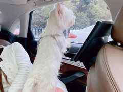 -汪星球宠物生活馆