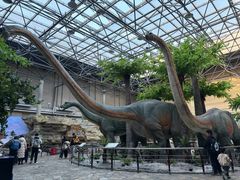 -国家自然博物馆