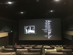 -新影联·华谊兄弟影院(望京店)
