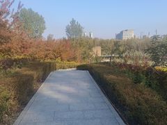 -长春世界雕塑园冰雪艺术天地