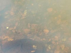 -茅兰沟国家森林公园
