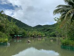 -呀诺达热带雨林