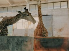 -石家庄市动物园