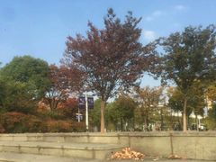 -江南大学(蠡湖校区)