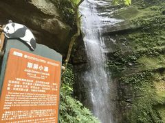 -碧峰峡风景区