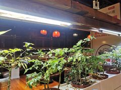 -望京一号·重庆江湖菜(工体店)
