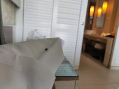 -三亚海棠湾万丽度假酒店