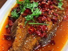秘制招牌卤鱼-付掌柜在成都·热炒砂锅集(金禾店)