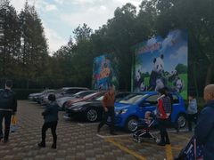 -野生动物园-停车场