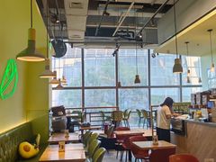 -油梨树AVOCADO TREE(望京店)