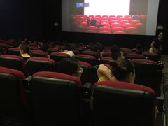 -大地影院(上海南汇店)