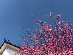 -大理洱海
