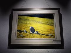 -迪庆藏族自治州博物馆