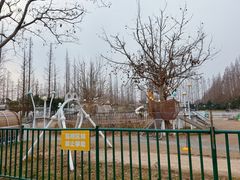 -上海长兴岛郊野公园