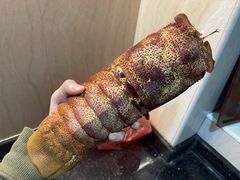 -黄沙水产交易市场