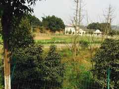 -重庆和泰马术俱乐部