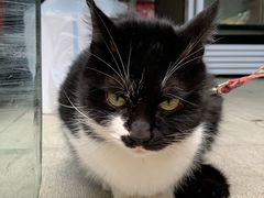 -艾加柒克蛋糕茶歇甜品台(春熙路店)