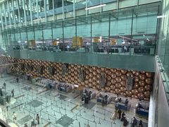 -英迪拉·甘地国际机场