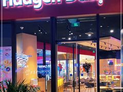 门面-哈根达斯(龙湖时代天街店)