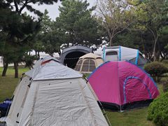 -日照灯塔风景区