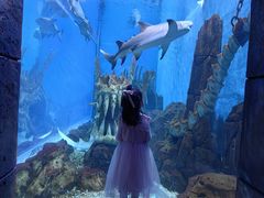 -哈尔滨波塞冬海底世界