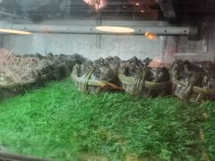 -成隆行·蟹王府(九江路店)