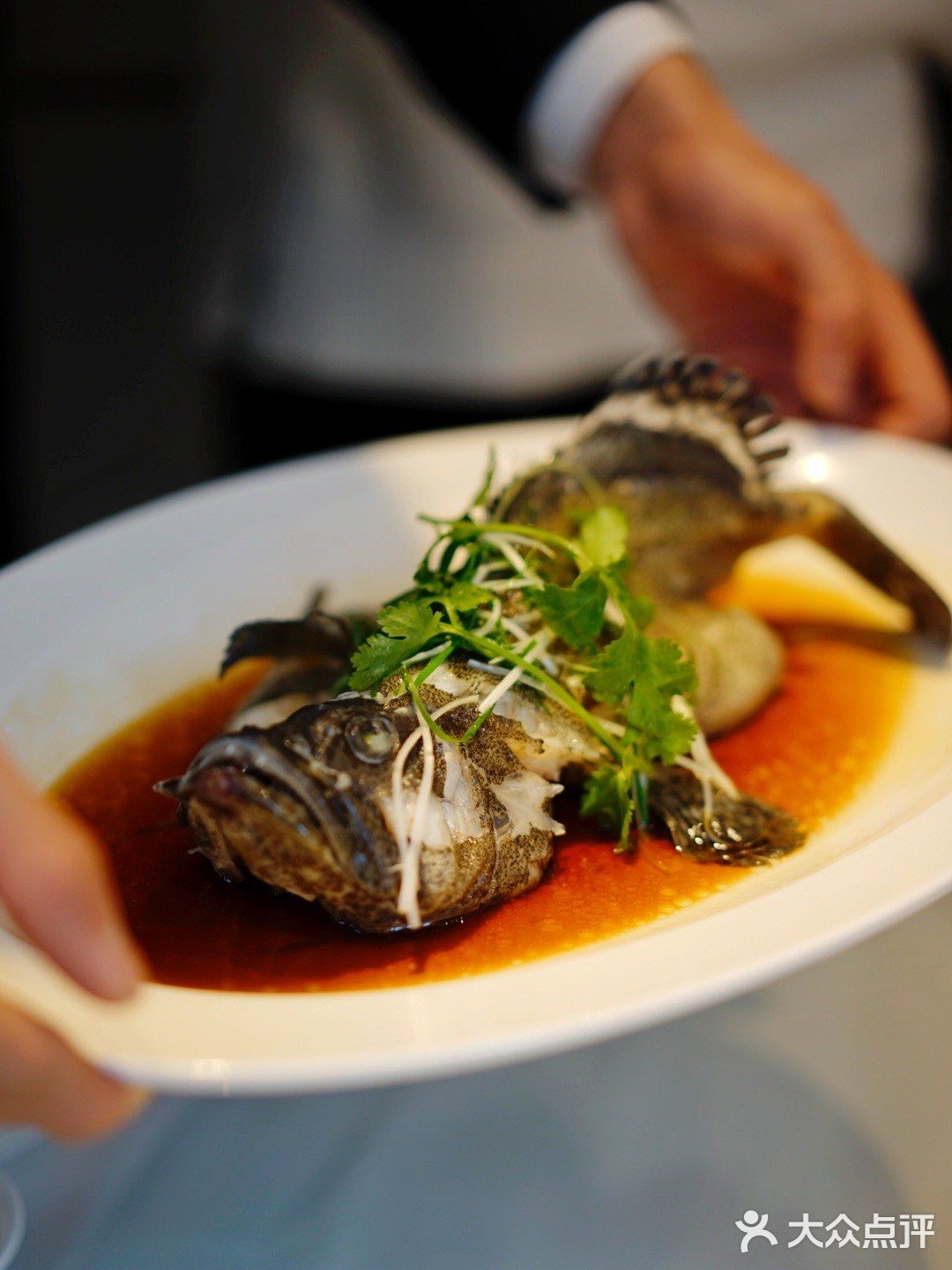 高端粤菜,古法秘传海南鸡就在金凤来仪 - 大众点评吃喝玩乐精选