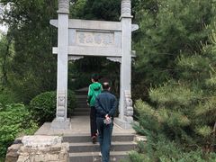 -迎泽公园