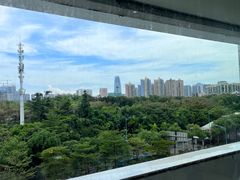 -百年果林椰子鸡(中洲店)