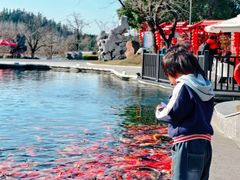 -南京银杏湖乐园