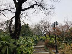 -红梅公园