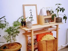 -团子君寿司·茶