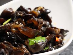 凉拌木耳-潮三爷砂锅焗海鲜·生腌·海鲜粥(朝晖店)