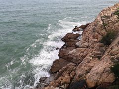 -广东惠东海龟国家级自然保护区